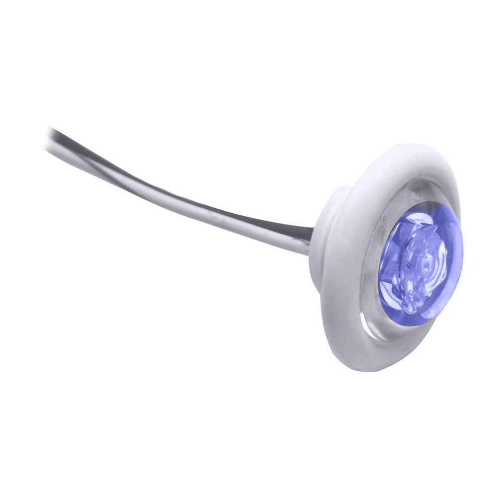 Innovative Lighting LED Bulkhead/Livewell Light "The Shortie" Blue LED w/ White Grommet [011-2540-7] | Catamaran Supply