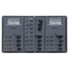 BEP AC Circuit Breaker Panel w/Analog Meters, 2SP 1DP AC120V [900-ACM2-AM-110] | Catamaran Supply